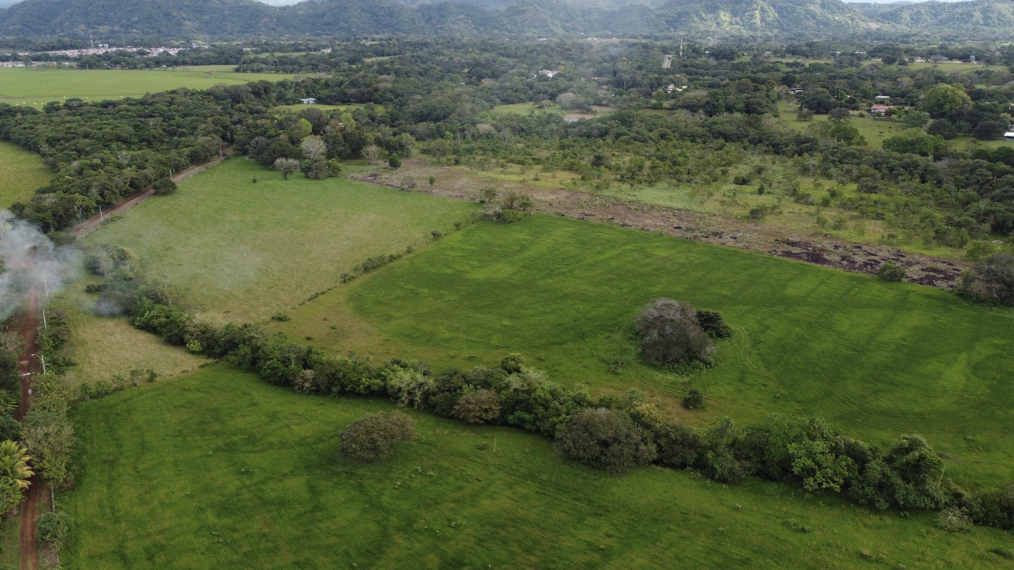 Finca en San Pablo Viejo, David, San Pablo Viejo, Chiriquí