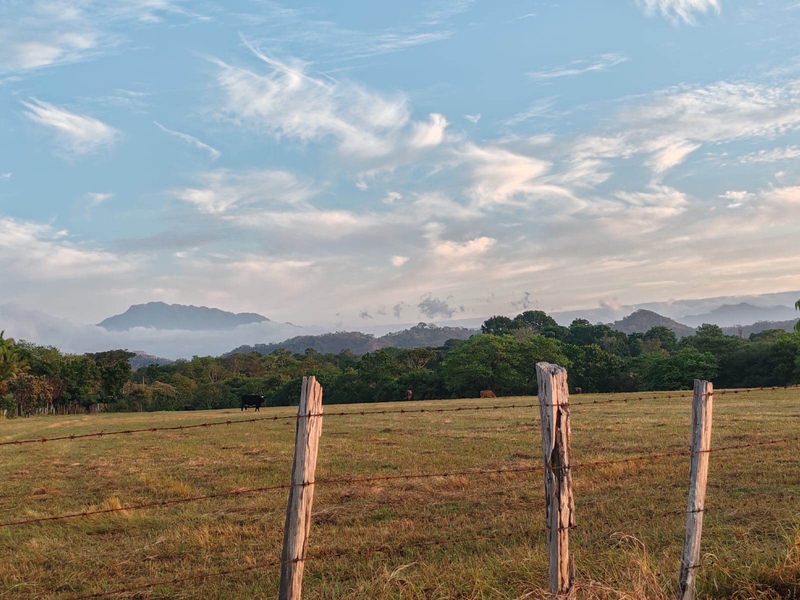 Finca en San Pablo Viejo, David — imagen 3