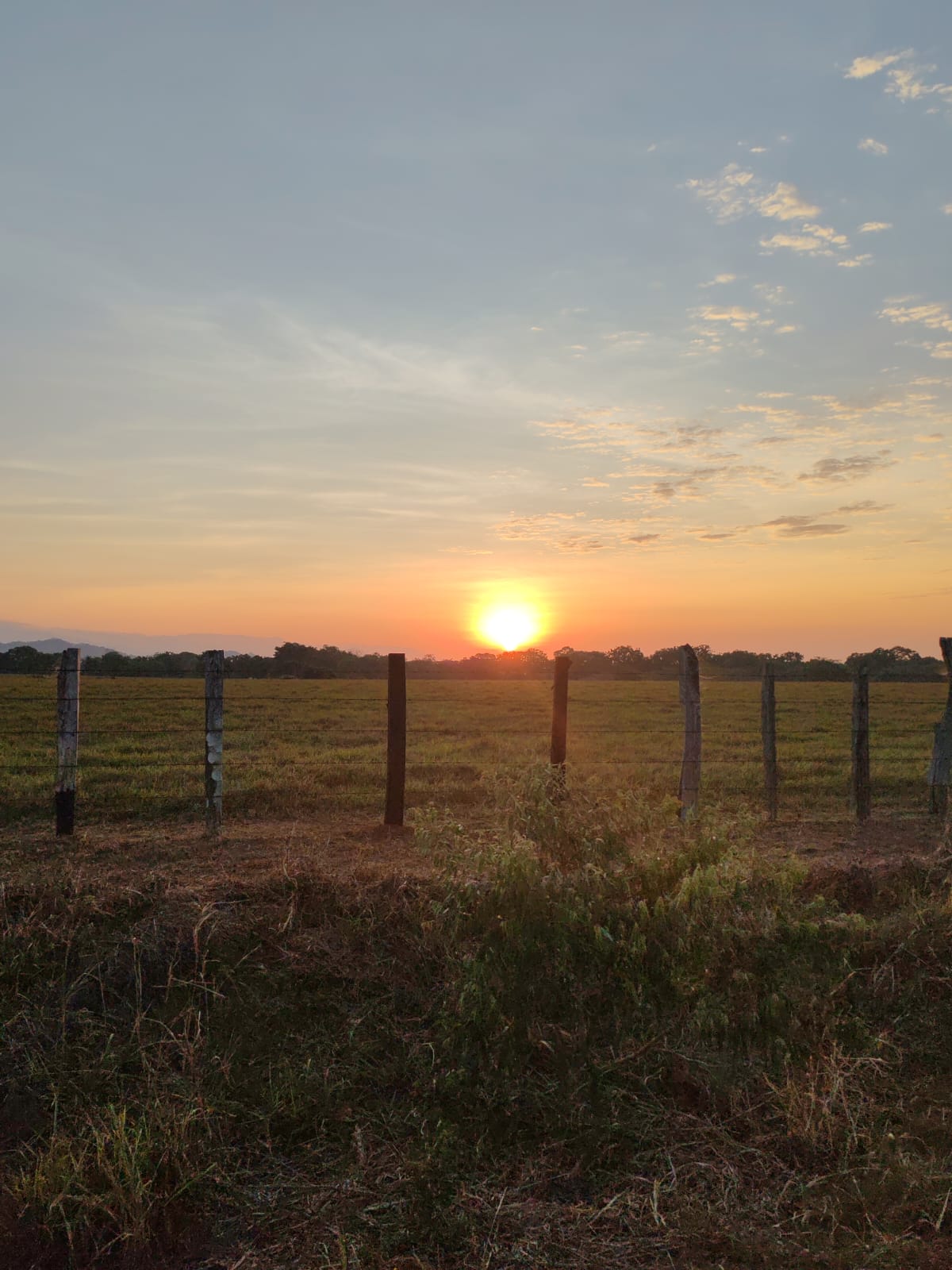 Finca en San Pablo Viejo, David — imagen 4