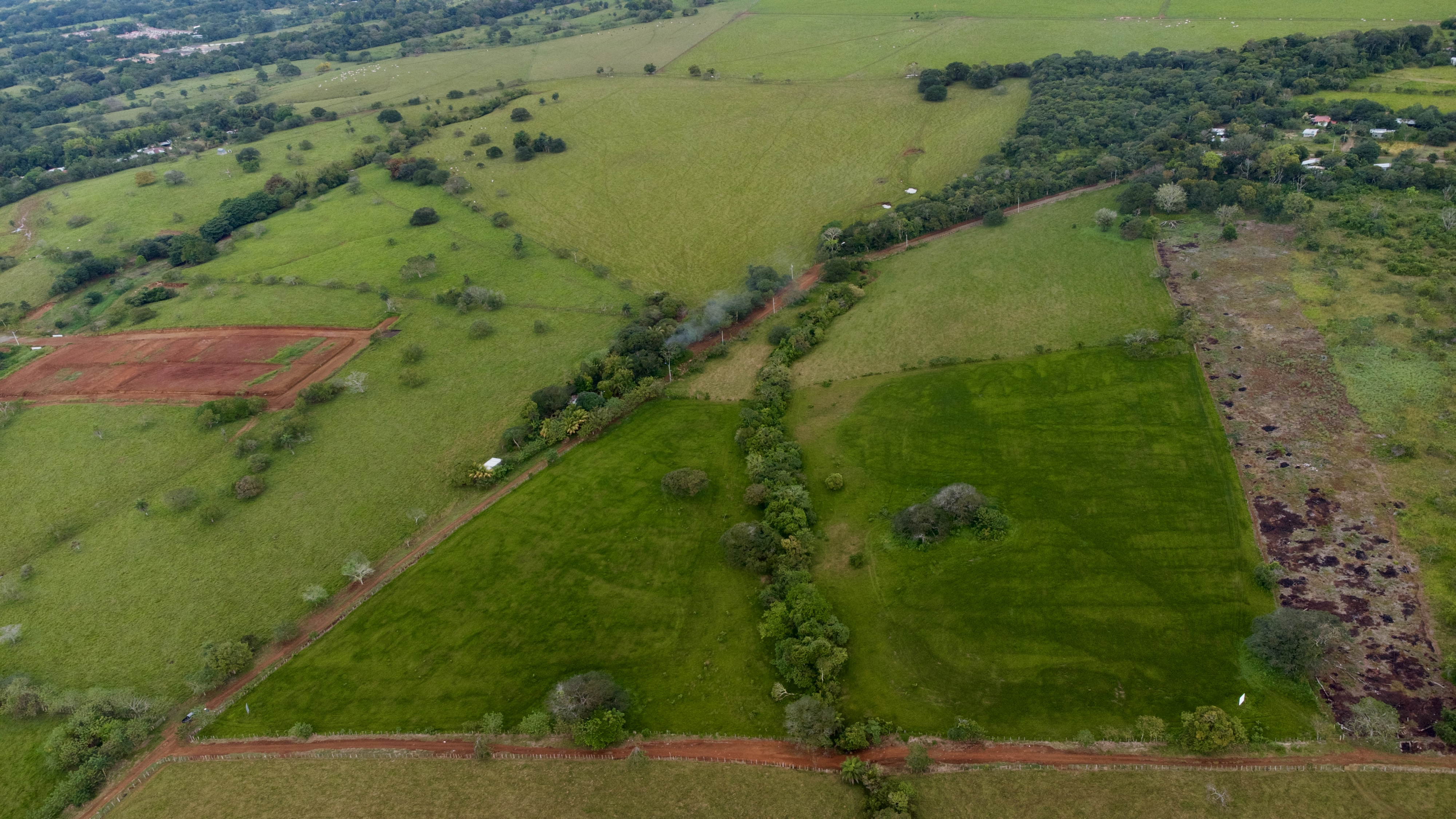 Finca en San Pablo Viejo, David — imagen 5